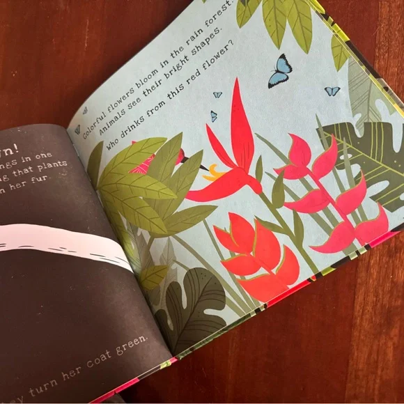 Usborne Shine a Light + Natl Geographic Book Bundle | Homeschool Science | 3 Bks - Picture 7 of 7